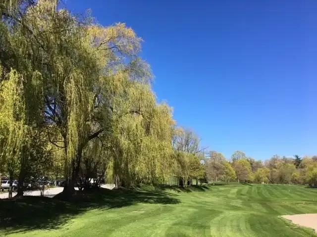 Apartment 2 Bedroom For Rent Toronto ON 2549 ES104753564