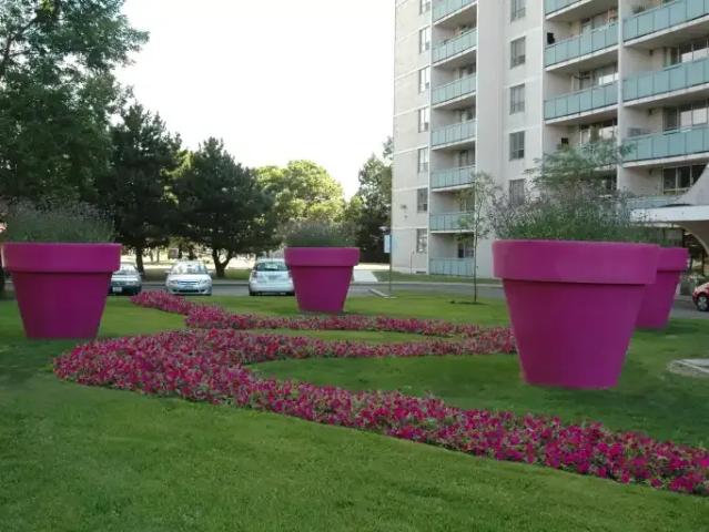 Apartment 2 Bedroom For Rent Toronto ON 2600 ELS101773496