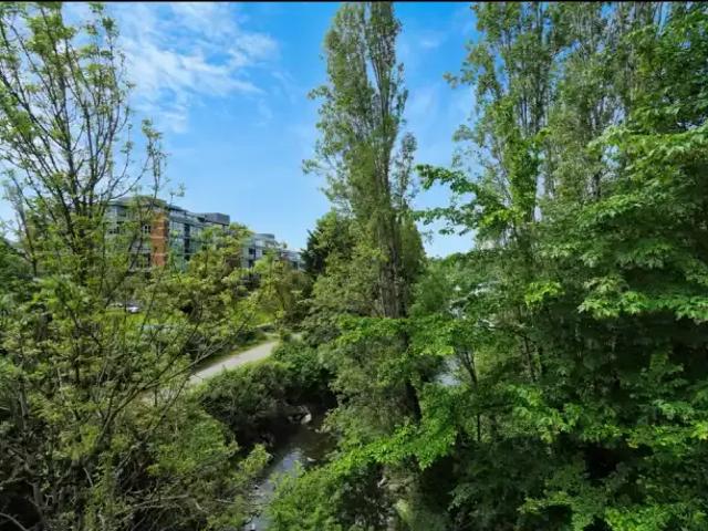 Apartment 2 Bedroom For Rent Victoria BC 2519 ES102306391