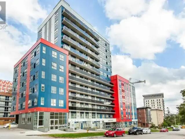 Apartment 2 Bedroom For Rent Waterloo ON 1950 ES102052749