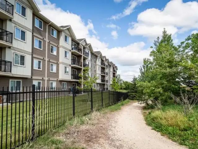 Apartment 2 Bedroom For Rent Winnipeg MB 1698 ES103593687