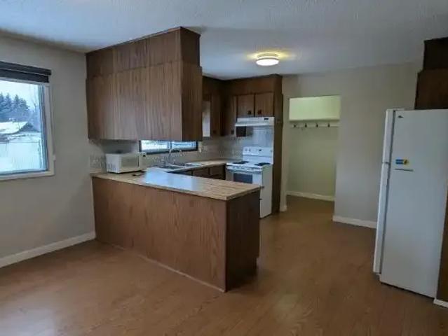 Apartment 4 Bedroom For Rent Edmonton AB 1950 ES102845593