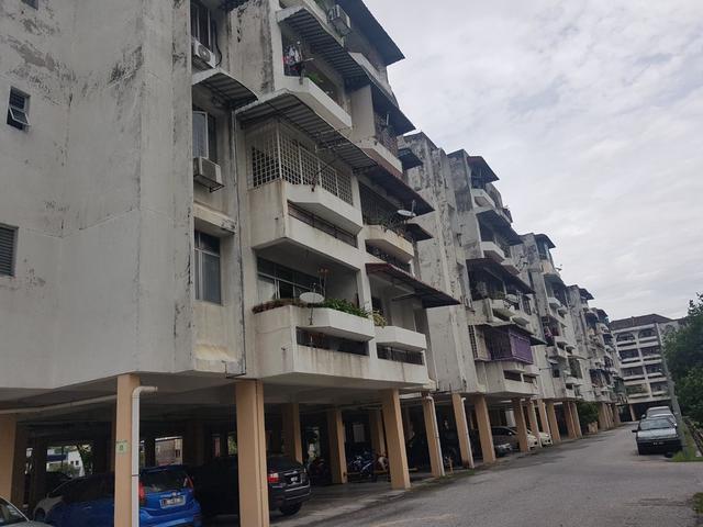 Apartment Arena Shamelin