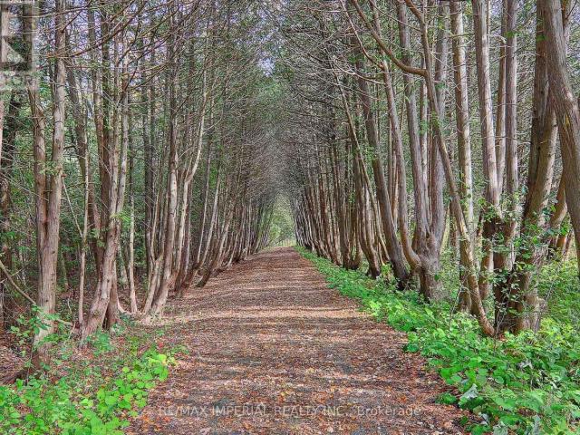 apartment at 13231 KENNEDY ROAD, Whitchurch Stouffville, Ontario, L4X7X5