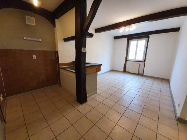 apartment at 141 Rue Cochard 69560 Sainte colombe
