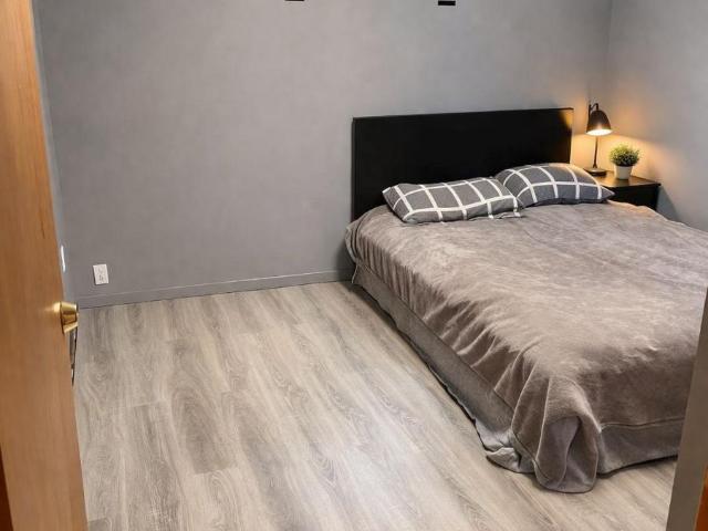 apartment at 45 WEST PARK AVENUE, Hamilton, Ontario, L8S3M4