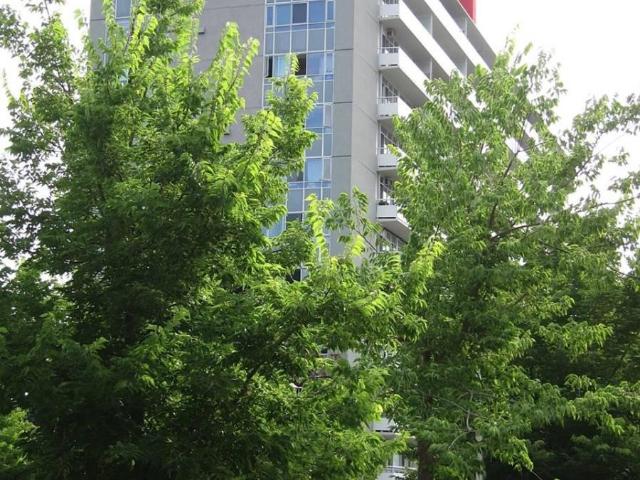 apartment at 606 580 CHRISTIE STREET, Toronto, Ontario, M6G3E3