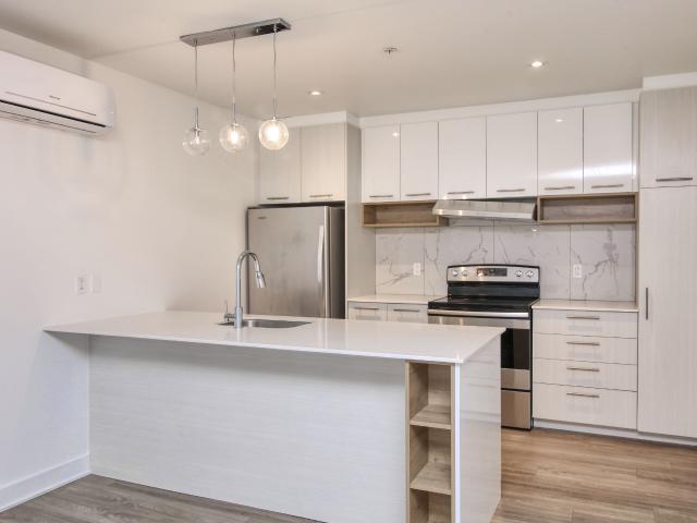 apartment at 9675 Av. Papineau Ahuntsic Montreal H2B 3C8