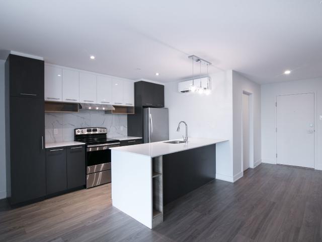 apartment at 9675 Av. Papineau Ahuntsic Montreal H2B 3C8