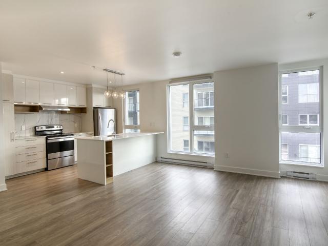 apartment at 9675 Av. Papineau Ahuntsic Montreal H2B 3C8