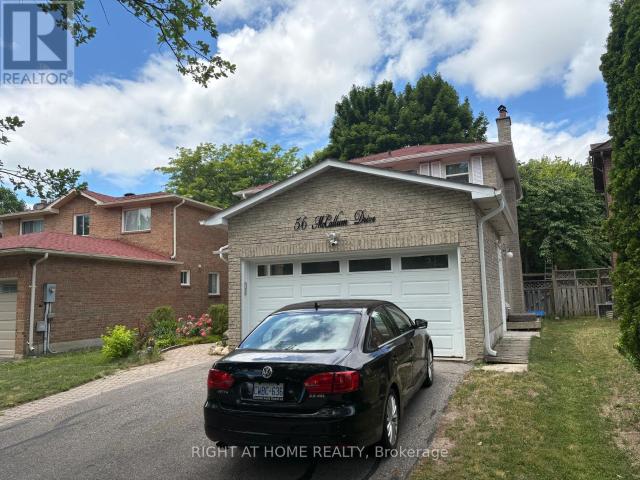 apartment at BASEMENT 56 MCCALLUM DRIVE, Richmond Hill, Ontario, L4C7S8