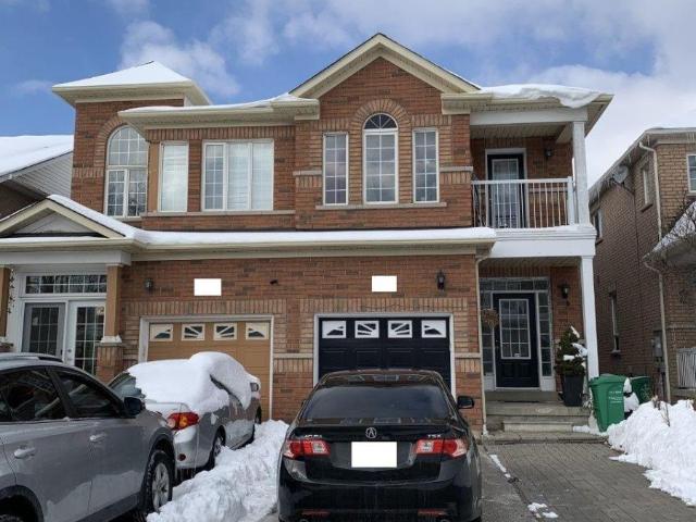 apartment at BASMT 40 PALM TREE ROAD, Brampton, Ontario, L6V4N6