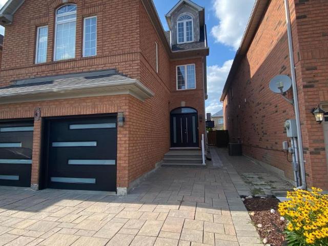 apartment at BSMT 47 SAPPHIRE DRIVE, Richmond Hill, Ontario, L4S2E5