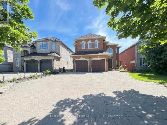 apartment at BSMT 44 ALPINE CRESCENT, Richmond Hill, Ontario, L4S1W4