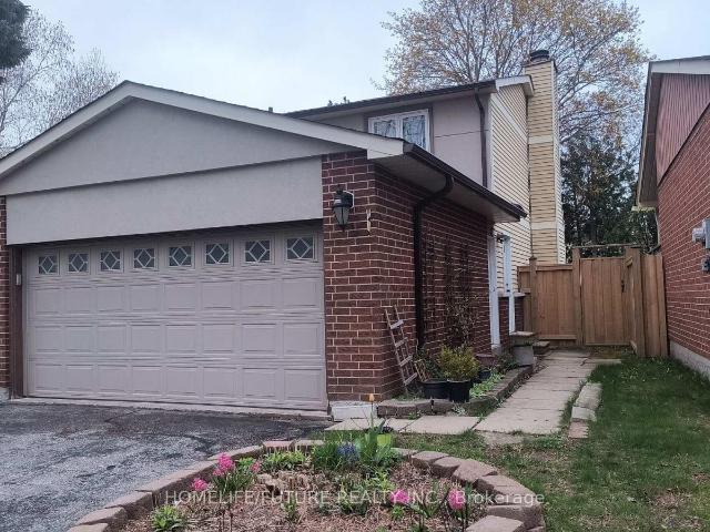 apartment at BSMT 46 BLACKTOFT DRIVE, Toronto, Ontario, M1B2M6