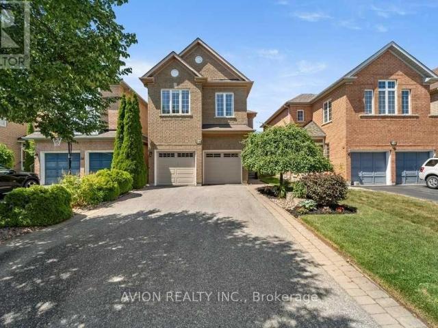 apartment at BSMT 56 GOLDEN OAK AVENUE, Richmond Hill, Ontario, L4S1Y5