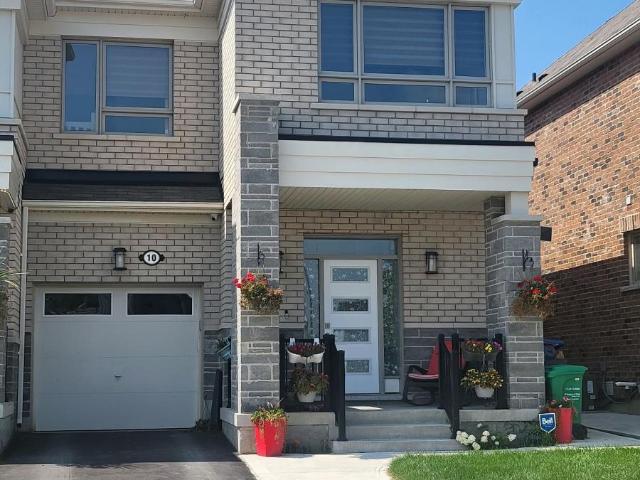 apartment at BSMT 10 GROWLER STREET, Brampton, Ontario, L7A5E1