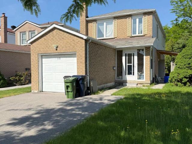 apartment at BSMT 116 ENCHANTED HILLS CRESCENT, Toronto, Ontario, M1V3P3