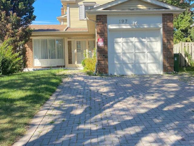 apartment at BSMT 197 GOLDHAWK STREET, Toronto, Ontario, M1V1X1