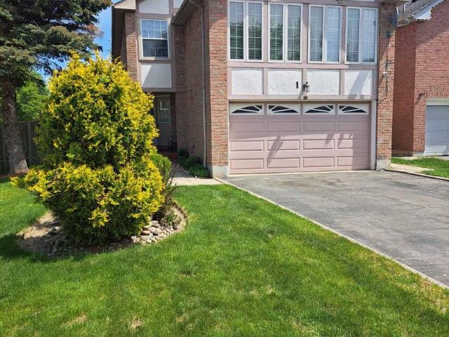 apartment at BSMT 1 GREYBEAVER TRAIL, Toronto, Ontario, M1C4P1
