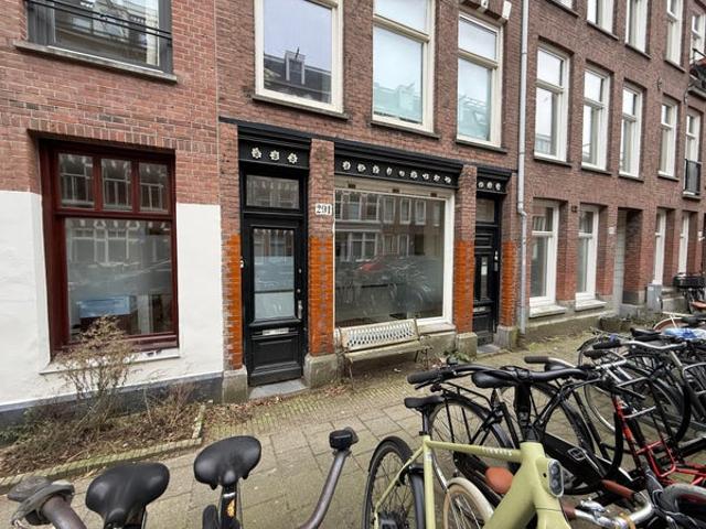 apartment at Rustenburgerstraat 291 H 1073GE Amsterdam