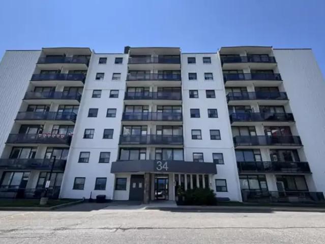 Apartment Brampton ON 104956581