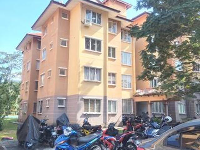 Apartment Damiana Below Market Value