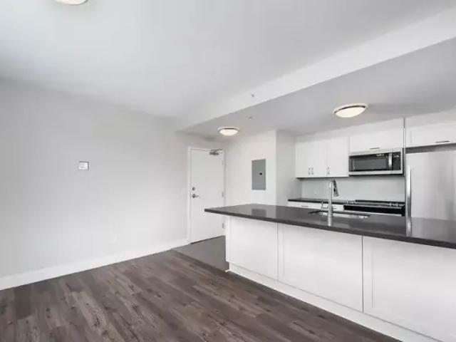 Apartment For Rent Etobicoke ON ELS84296020