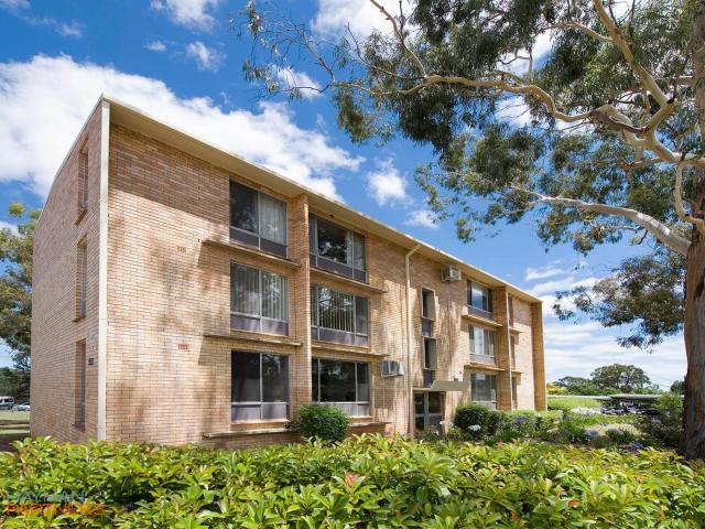 apartment for rent at 29/1 McCulloch Street, Curtin ACT 2605, Australia