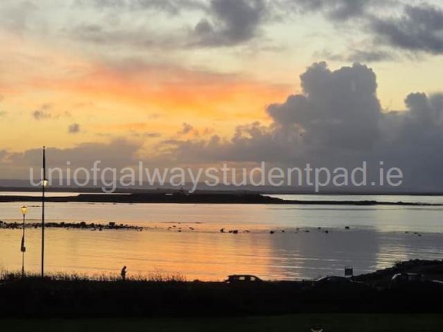apartment for rent at apartment 17, galway
