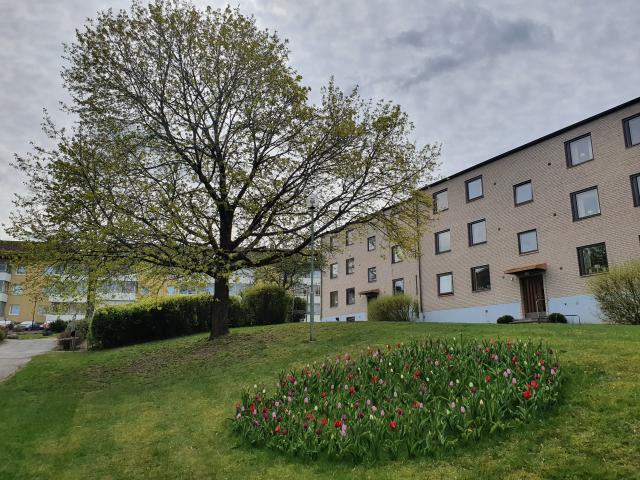 apartment for rent at Borås