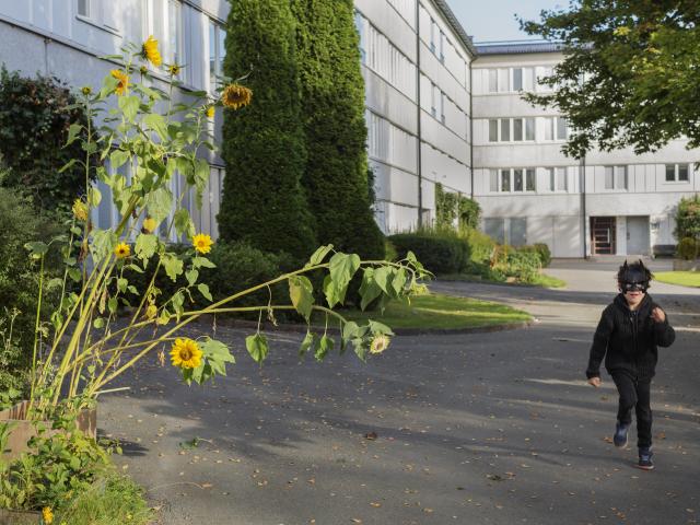 apartment for rent at Göteborg