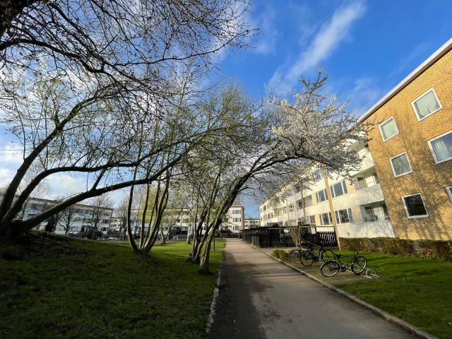 apartment for rent at landskrona