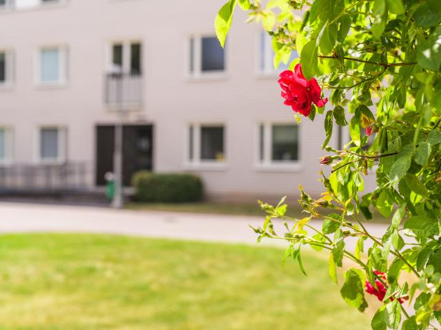 apartment for rent at Linköping