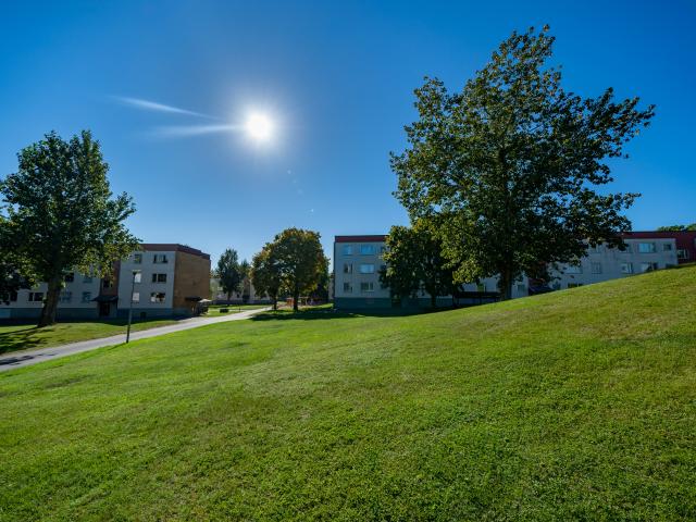 apartment for rent at Motala