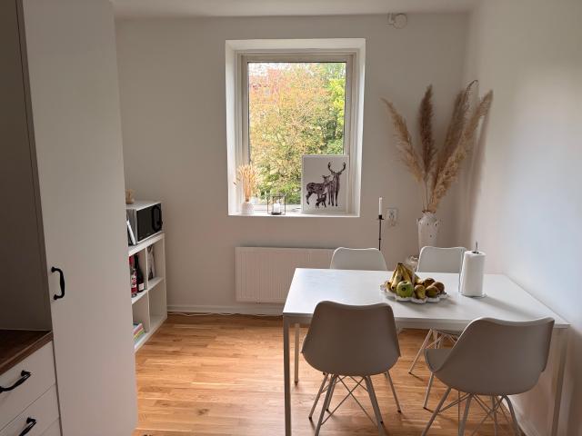 apartment for rent at Malmö