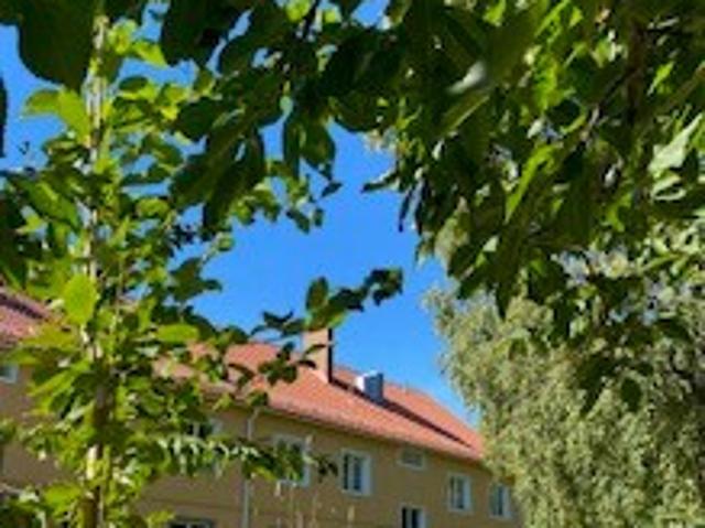 apartment for rent at Vallvik
