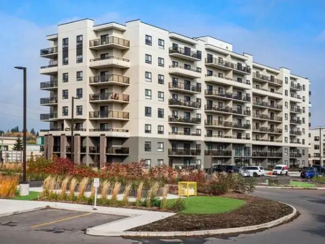 Apartment For Rent Guelph ON 1949 ES96255346