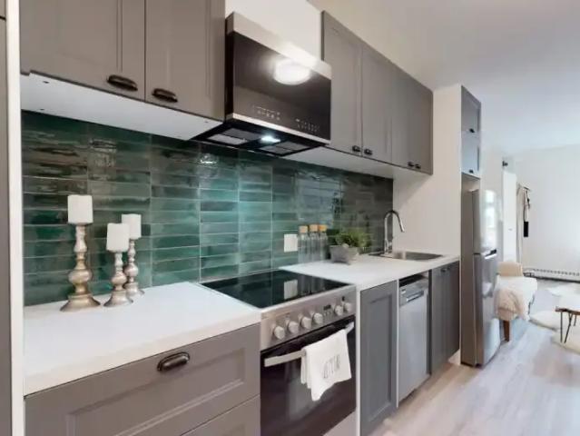 Apartment For Rent Edmonton AB 1050 ES100044837