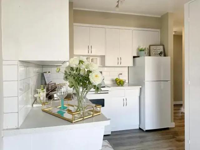 Apartment For Rent Edmonton AB 1027 ES101106685