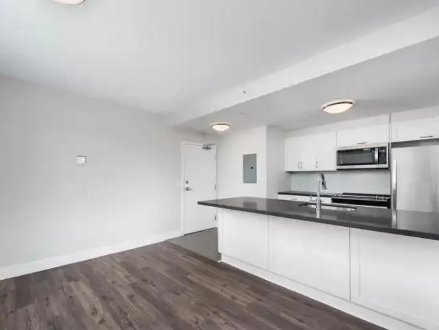 Apartment For Rent Etobicoke ON 1825 ES101876876