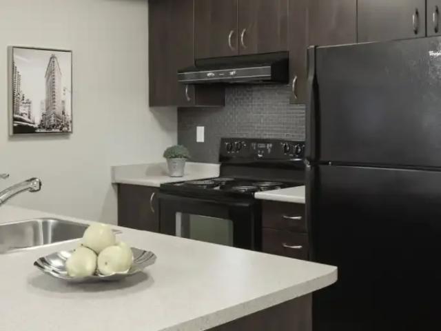 Apartment For Rent Etobicoke ON 1985 ES104106141