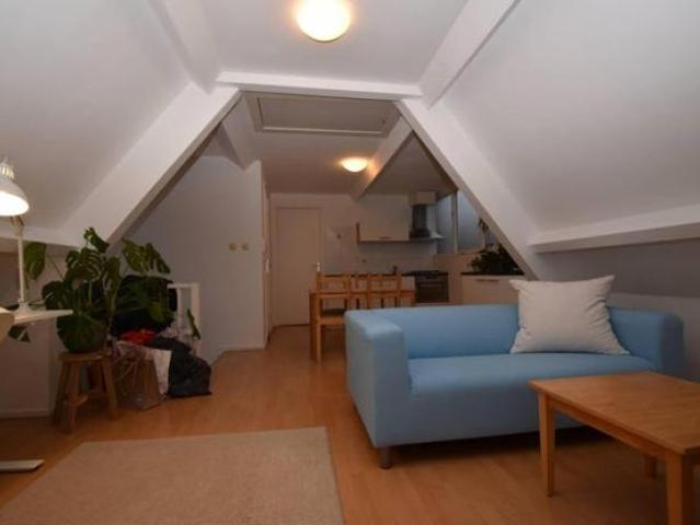 apartment for rent in Copernicusstraat 78 D, 2561XB, Den Haag