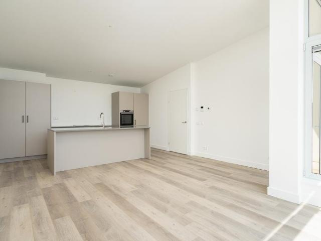 apartment for rent in Campanulastraat 67 2555DC Den Haag Bohemen en Meer en Bos Den Haag