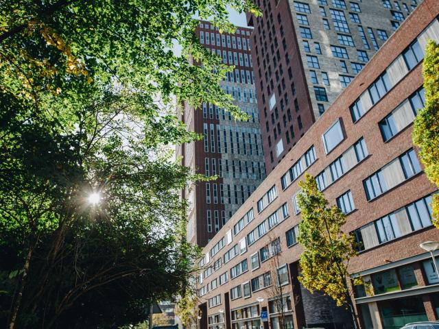 apartment for rent in Carolina van Nassaustraat 41 2595TK Den Haag Bezuidenhout Midden Den Haag