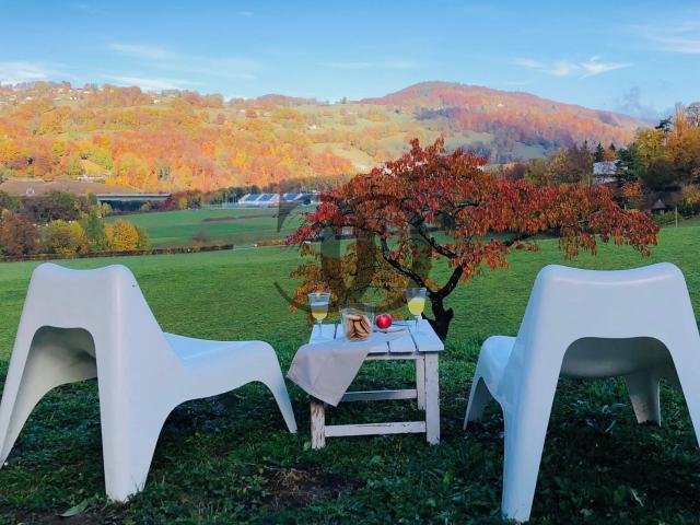 Apartment for rent in ch 1806 St Légier La Chiésaz