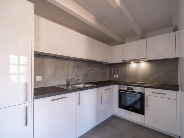 Apartment with 3 rooms for rent in Chêne Bourg 47 m² | dreamo. Ch