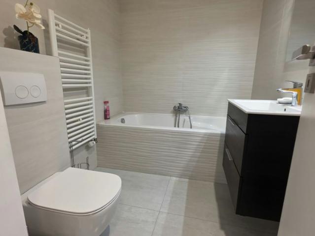 Apartment for Rent in Cluj Napoca, in the center, at a 10 minute walk from the University of Medicine and Pharmacy, two bedrooms, on Mihai Eminescu street