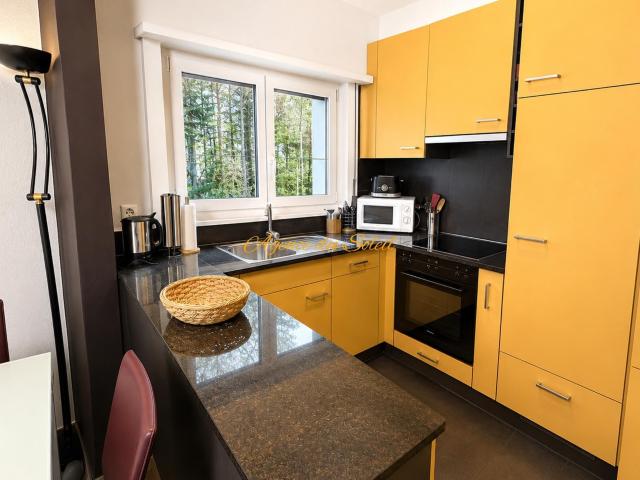 Apartment for rent in Crans VS Ref 25 | dreamo. Ch