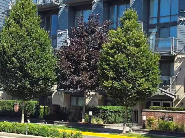 Apartment for rent in Abbotsford, Abbotsford, 204 3090 Gladwin.